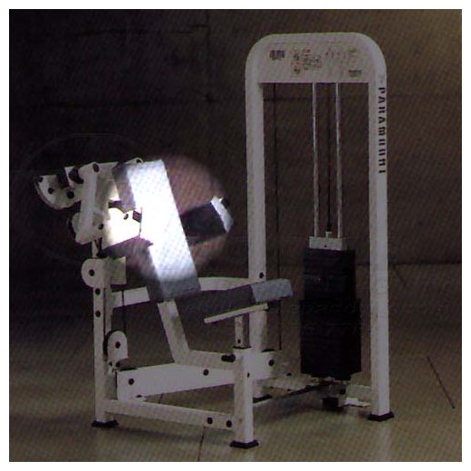 PL3400DeltoidBack