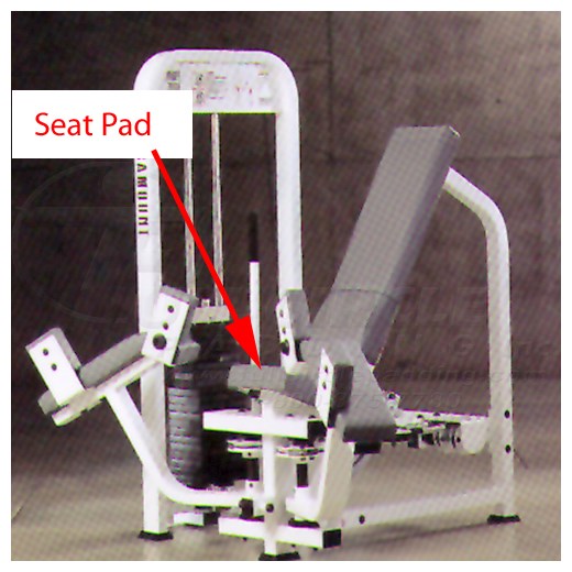 PL3800InnerThighSeat1