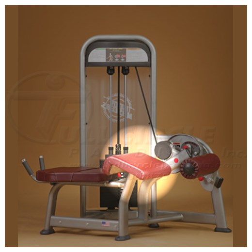 PR1408ProneLegCurlThigh