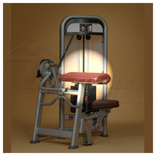 PR1902BicepCurlElbow