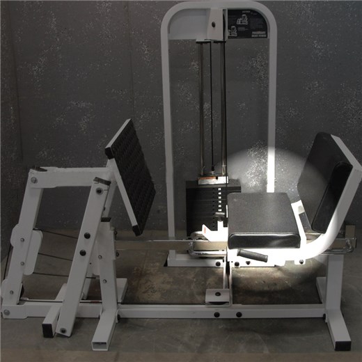 SF300LegPress1000SeatPad