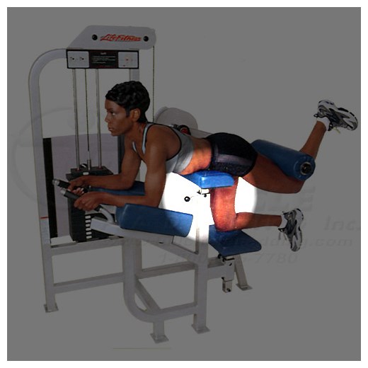 SL75GluteChest