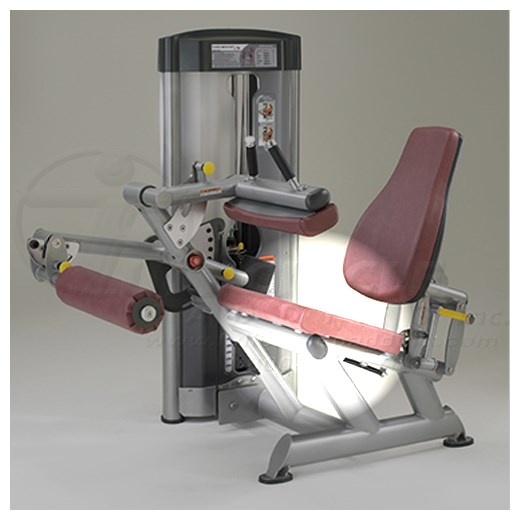 SP5100SeatedLegCurlSeat
