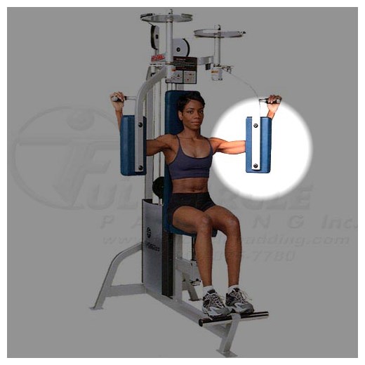 SU15PectoralFlyArm