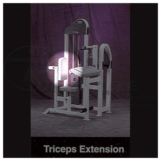 Strivetricepextensionx500Back