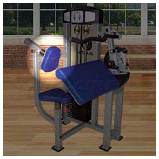 T164TricepExtensionX500Back