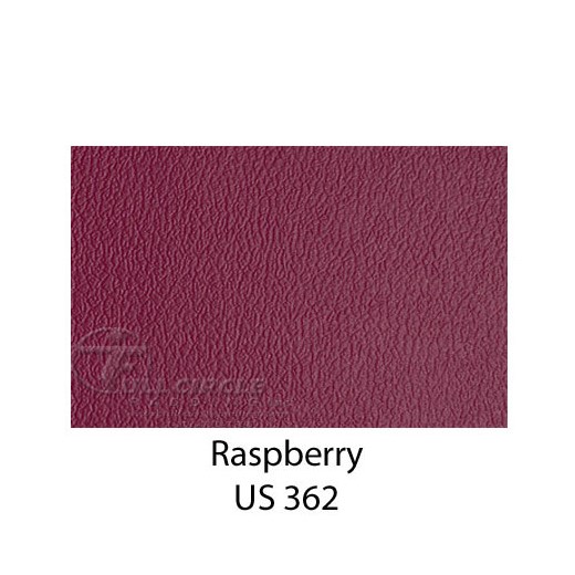 US362Raspberry