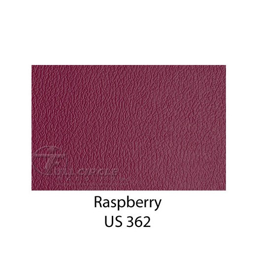 US362Raspberry1