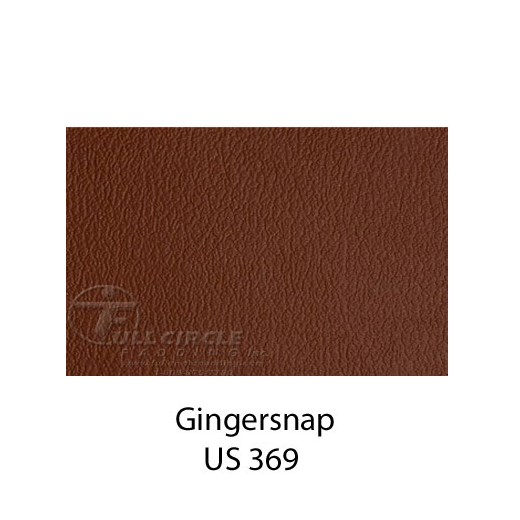 US369Gingersnap