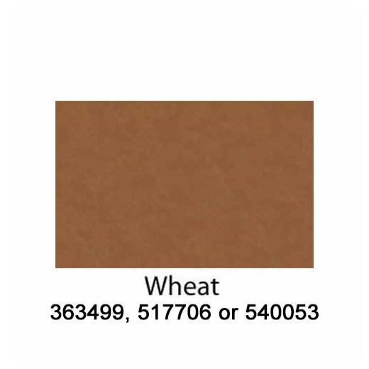 Wheat-540053-2022