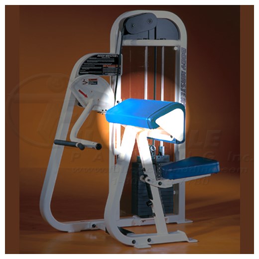 XB985BicepCurlElbow