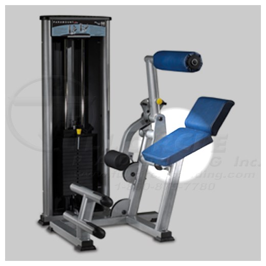 XL1300LowerBackSeat