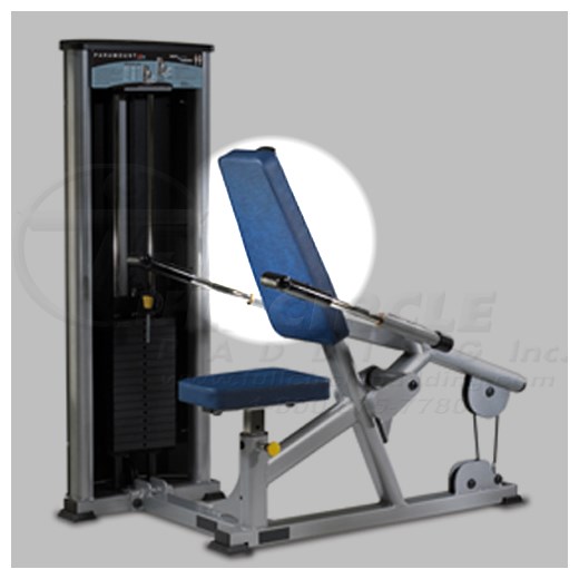 XL1500TricepPressdownBack