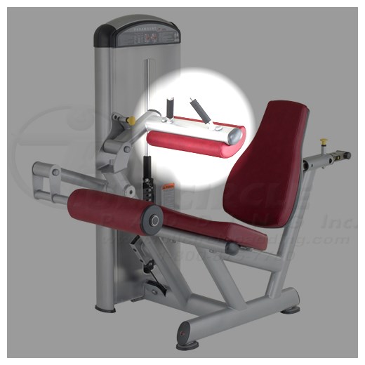 XL2200SeatedLegCurlThigh