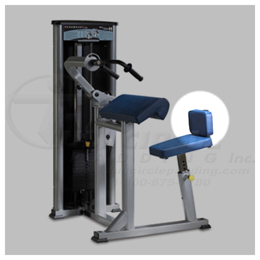 Xl500TricepExtensionBack
