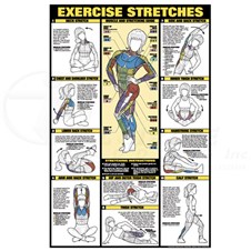 0CHNFC11BStreches