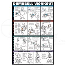 0CHNFC12BDumbbell