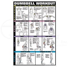 24 x 36 Triceps Workout Fitness Chart