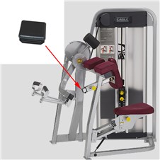 11070-Arm-Curl-FWP282