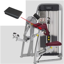 11070-Arm-Curl-FWP283