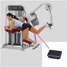 11170-Glute-FWP269
