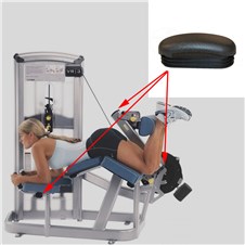 12140-Prone-Leg-Curl-CYW362