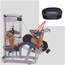12140-Prone-Leg-Curl-CYW363