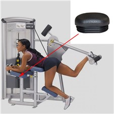 12170-Glute-CYW363