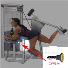 12170GluteCYW314