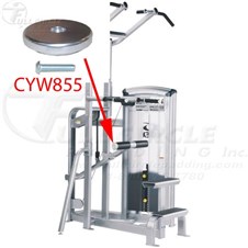 12230DipChinCYW855