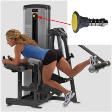 13170-Glute-CYW311