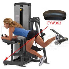 13170GluteCYW362
