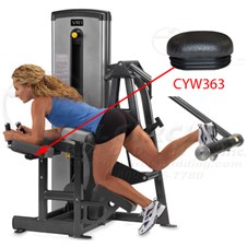 13170GluteCYW363