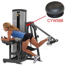 13170GluteCYW368