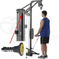 13230BicepTricepsCYW311