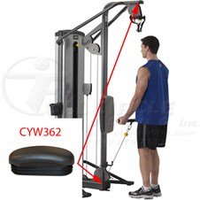 13230BicepTricepsCYW362