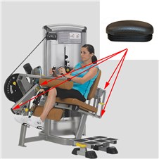 14061-Seated-Leg-Curl-CYW362