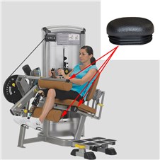 14061-Seated-Leg-Curl-CYW363