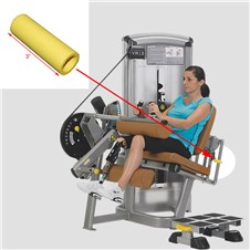 14061-Seated-Leg-Curl-CYWE115