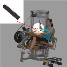 14061_Seated_Leg_Curl_GRP100T5PVC