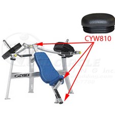 16190InclinePressCYW810