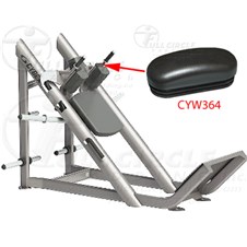 16200CYW364