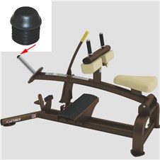 16210-Seated-Calf-CYW811
