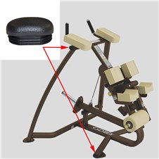 16310-Kneeling-Leg-Curl-CYW363