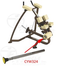 16310KneelingLegCurllCYW324