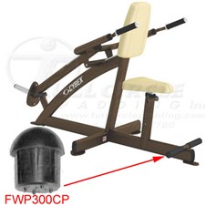 16320TricepsPressFWP300CP