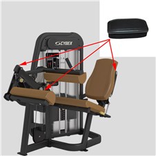 20060-Seated-Leg-Curl-CYW166