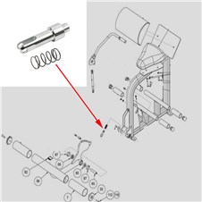 20090-Abdominal-CYWE116
