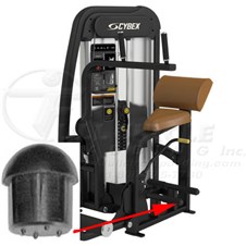 20090AbdominalFWP300CP