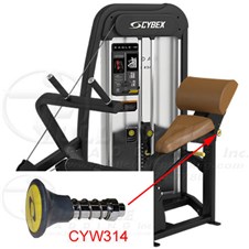 20100BackExtensionCYW314